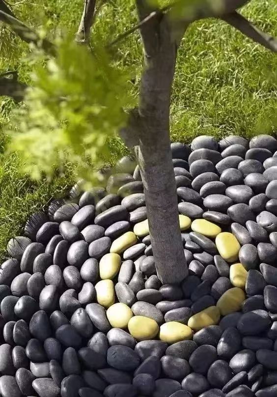 树窝石